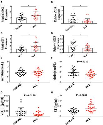 Elevated Expression of lncRNA MEG3 Induces Endothelial Dysfunction on HUVECs of IVF Born Offspring via Epigenetic Regulation